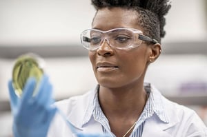 Pathology assistant in the lab looking at a Petri dish.